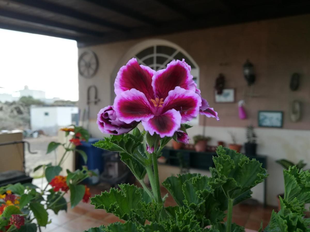 דירות לאחארס Casa Papi מראה חיצוני תמונה